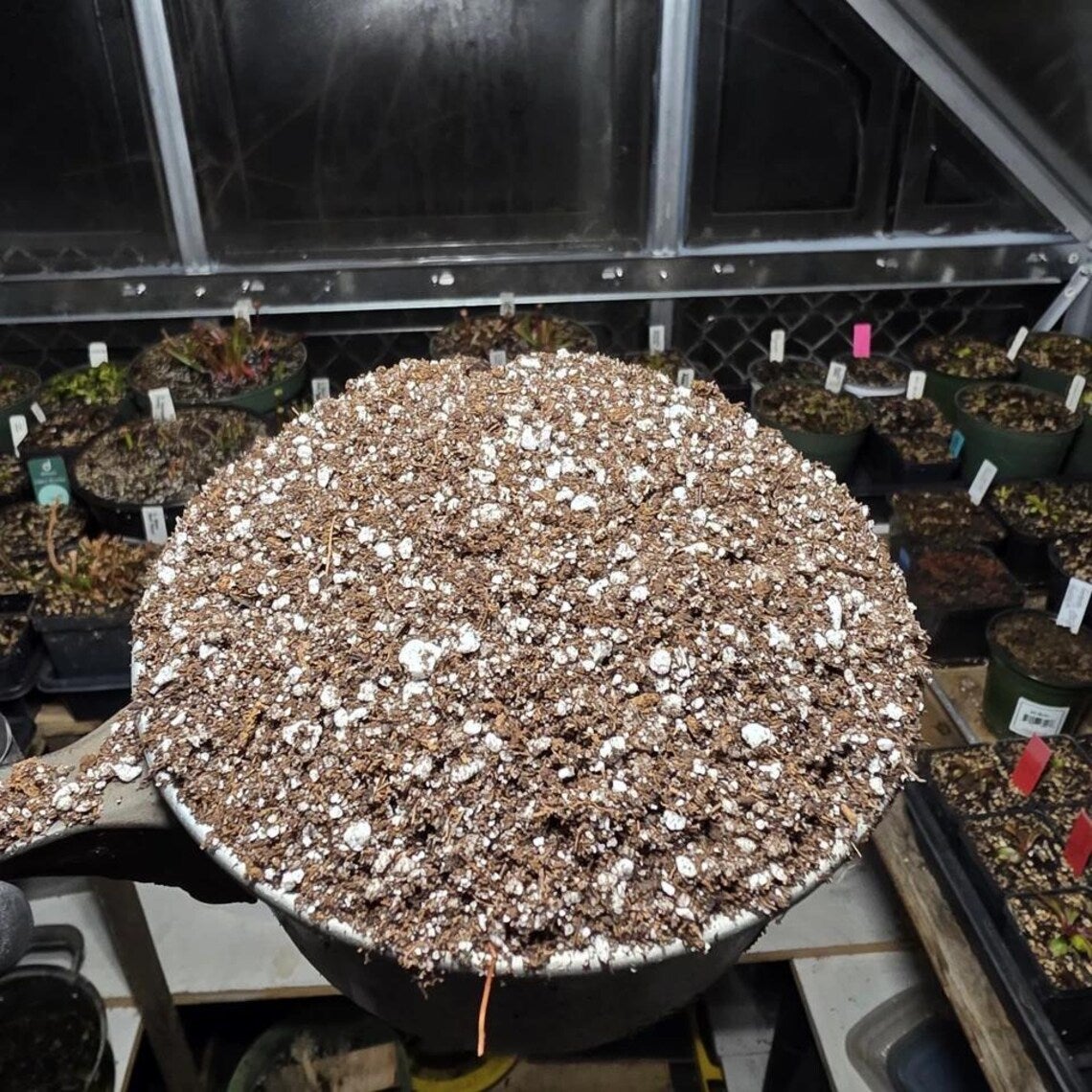 Carnivorous Plant Soil for Venus Flytrap, Sundew, Sarracenia (FREE  SHIPPING!) | Randomcy.nyc
